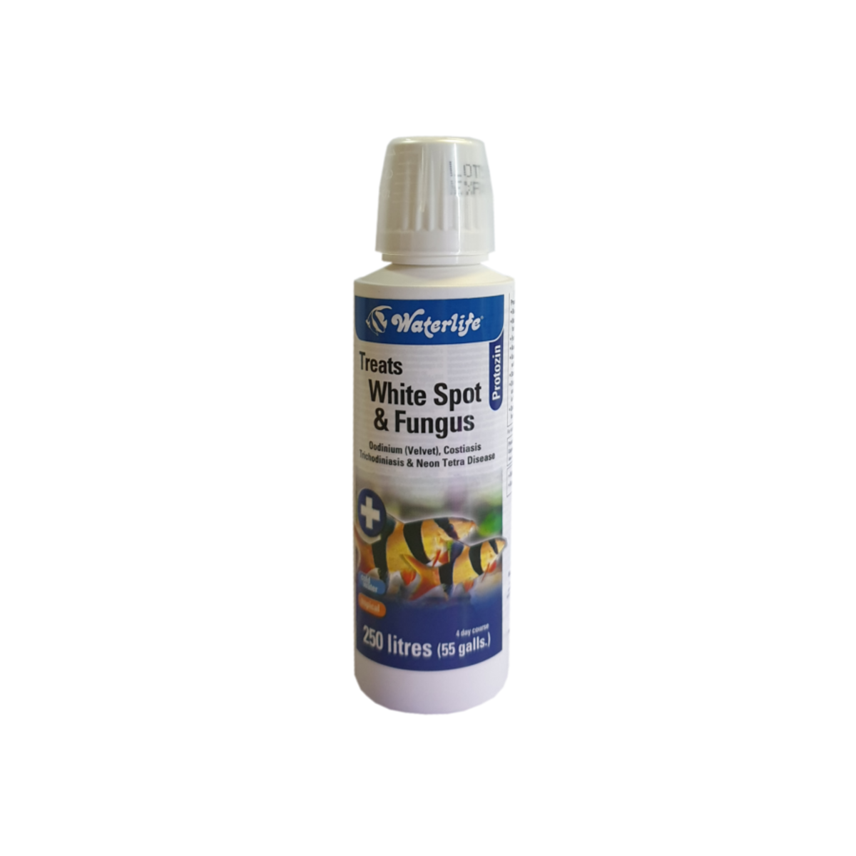 Waterlife Protozin 100Ml | Aqua Empire