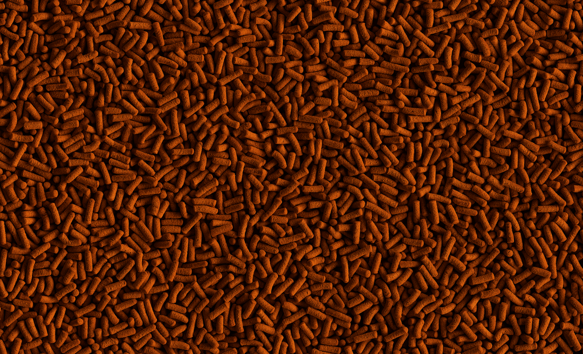 73a27663-2f01-463d-be55-897dc6f9fbab.png