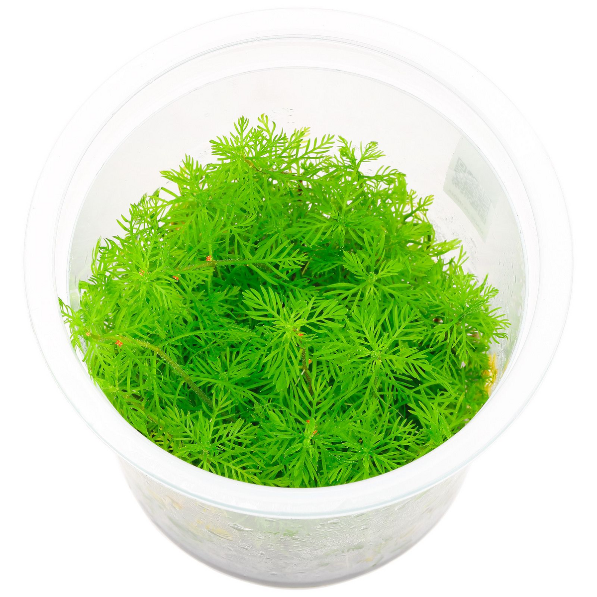 7f45d3b8-1d47-4291-a3d5-54ad8a679e86.png
