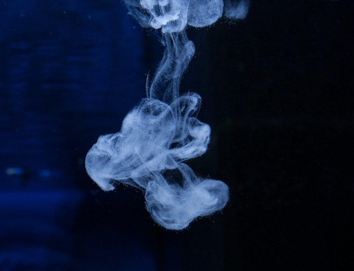5ca8cf06-7cc0-4aa4-8f07-7a2aba110101.png