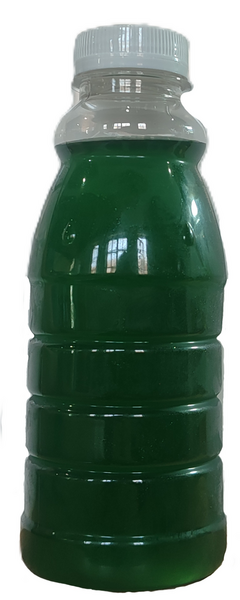 Nannochloropsis Live Culture (500ml)